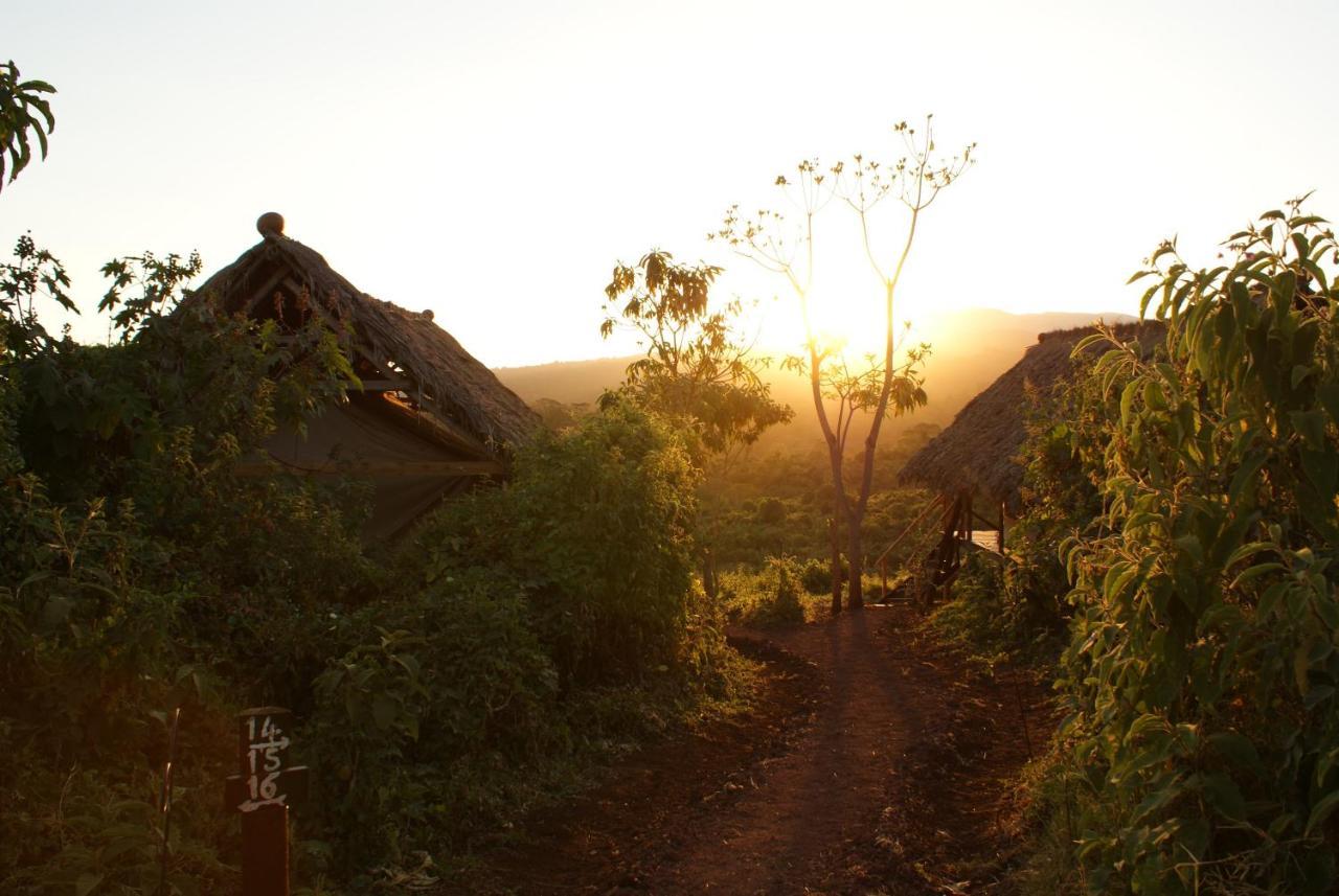 Crater Forest Tented Lodge คาราทู ภายนอก รูปภาพ